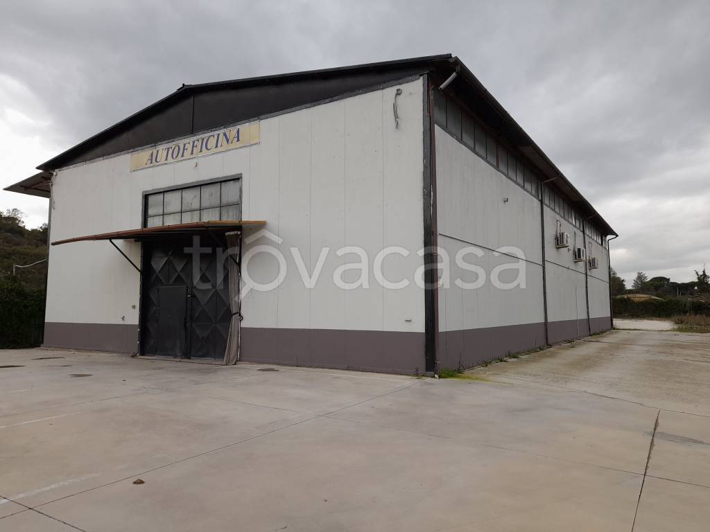 locale commerciale in affitto a Roma in zona Gianicolense