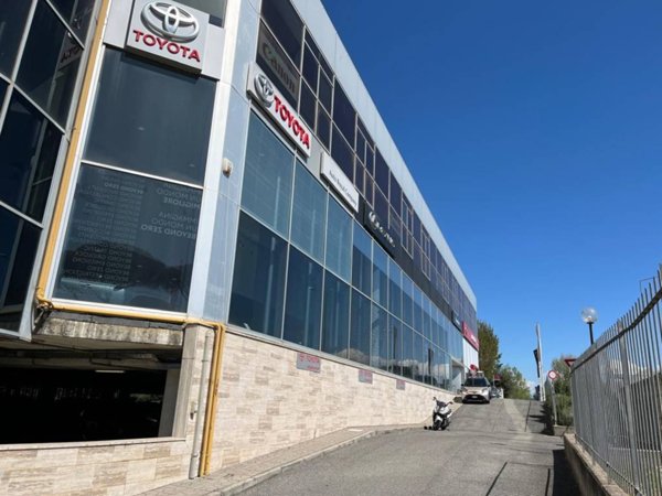 intera palazzina in affitto a Roma in zona Parioli
