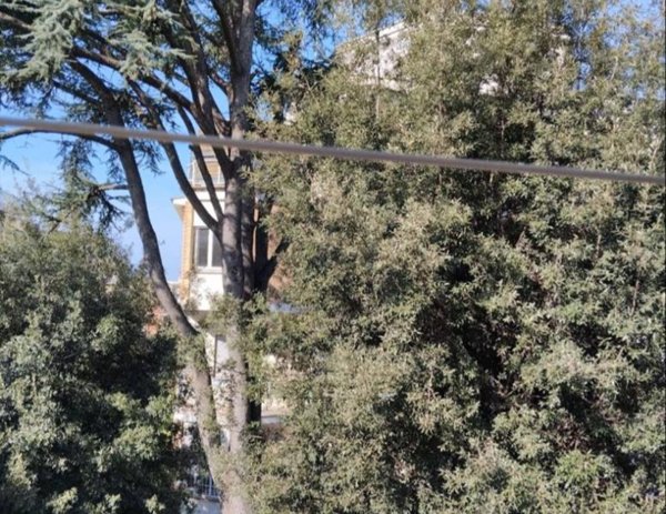 appartamento in affitto a Roma in zona Torrevecchia