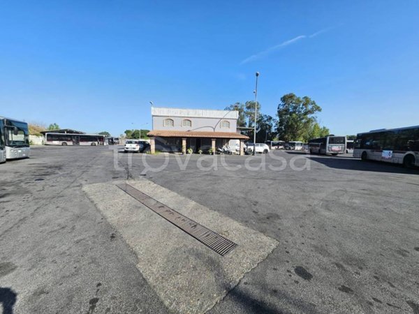 locale commerciale in affitto a Roma in zona EUR