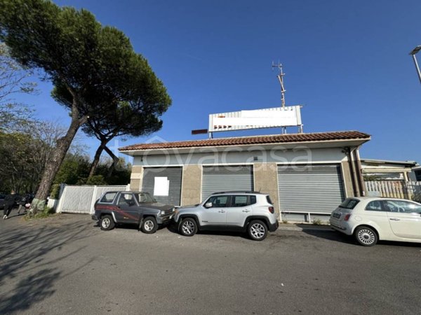 trivano in affitto a Roma in zona Romanina