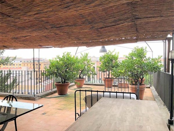 appartamento in affitto a Roma in zona Campo Marzio