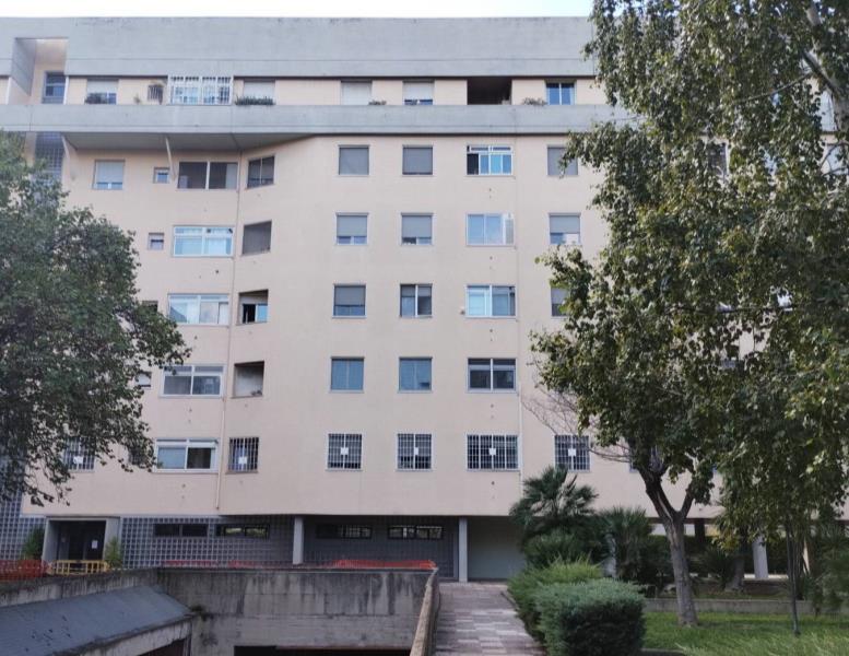 appartamento in affitto a Roma in zona Giuliano Dalmata