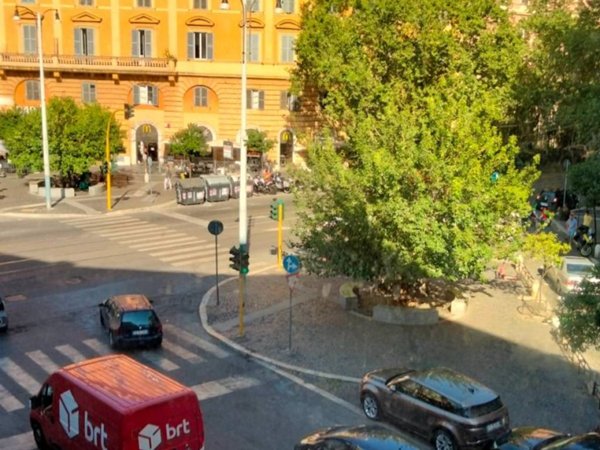 appartamento in affitto a Roma in zona Salario