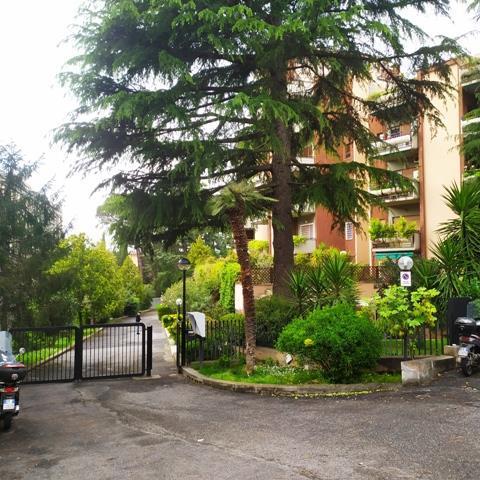appartamento in affitto a Roma