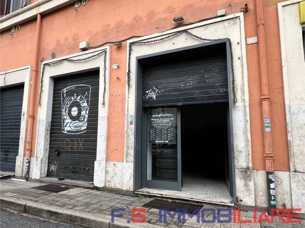 trivano in affitto a Roma in zona Appio Latino