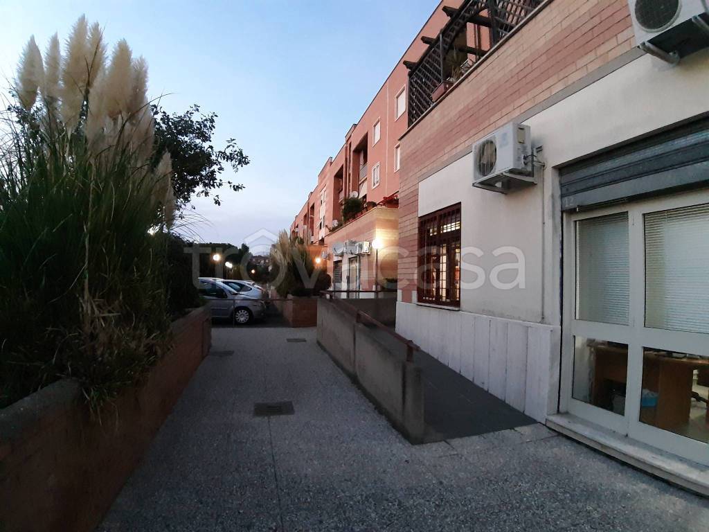appartamento in affitto a Roma in zona Acilia