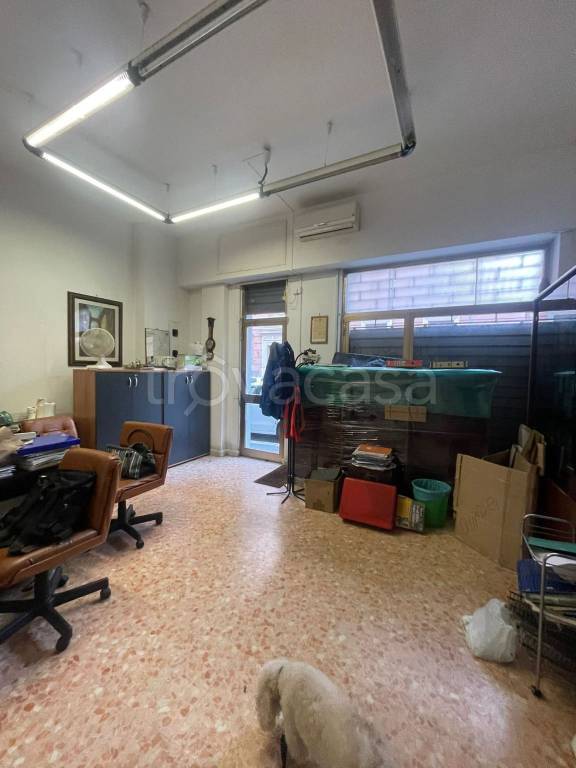monolocale in affitto a Roma in zona Appio Latino