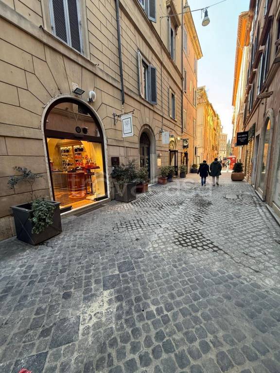 immagine annuncio 0 di 15