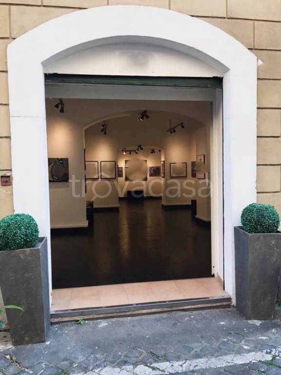 monolocale in affitto a Roma