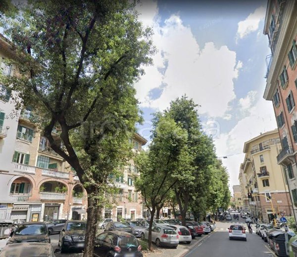 negozio in affitto a Roma in zona Trieste