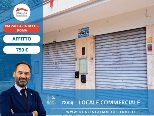 monolocale in affitto a Roma in zona Falcognana