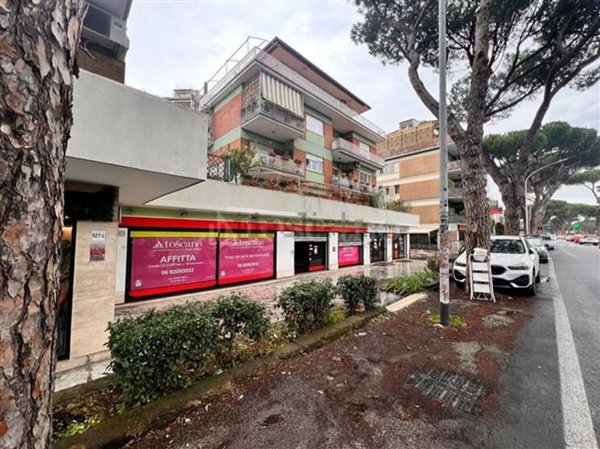 ufficio in affitto a Roma in zona Monte Sacro/Talenti