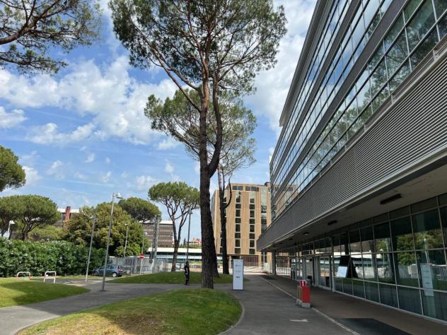 ufficio in affitto a Roma in zona EUR