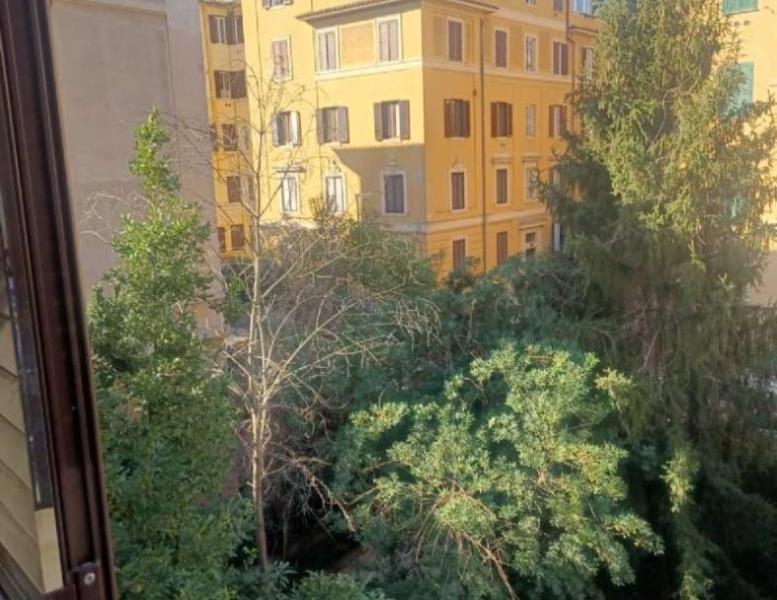 appartamento in affitto a Roma in zona Trieste