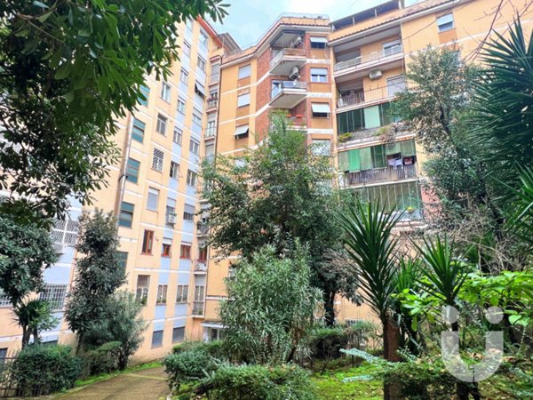 negozio in affitto a Roma in zona Ostiense
