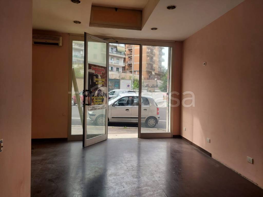 monolocale in affitto a Roma in zona Monte Sacro/Talenti