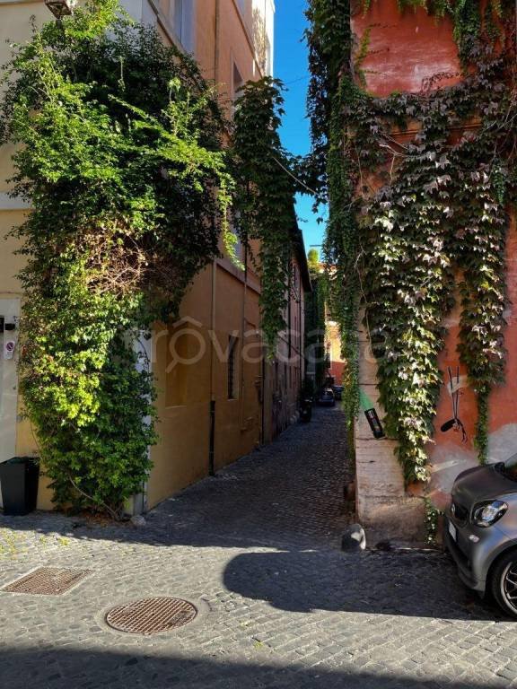 appartamento in affitto a Roma in zona Trastevere