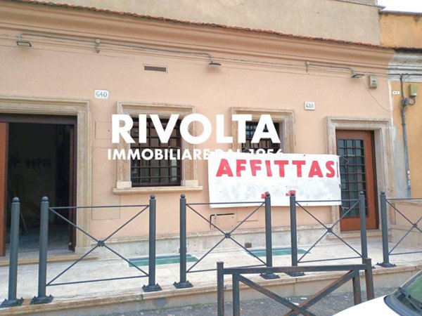 quadrivano in affitto a Roma in zona Flaminio