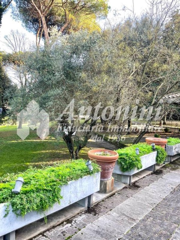 casa indipendente in affitto a Roma in zona Della Vittoria