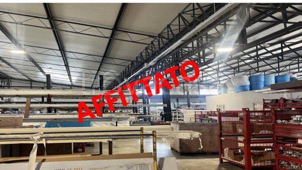 locale commerciale in affitto a Roma