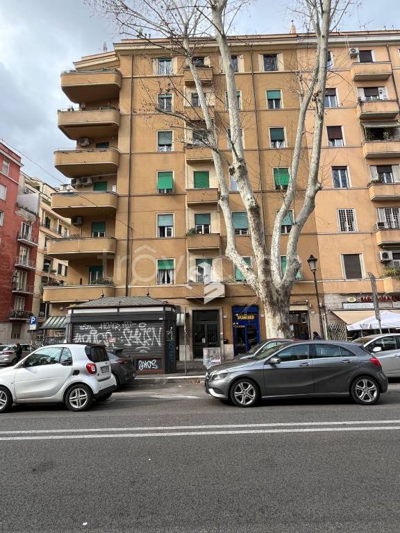 appartamento in affitto a Roma in zona Della Vittoria