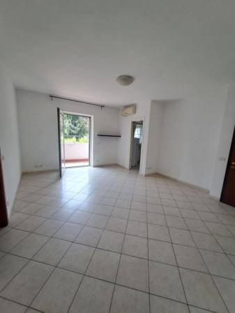 appartamento in affitto a Roma in zona Appio Pignatelli