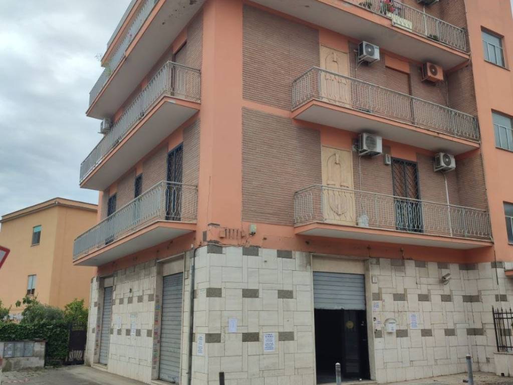 negozio in affitto a Roma in zona Tor Vergata/Torrenova