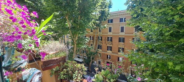 appartamento in affitto a Roma in zona Trieste