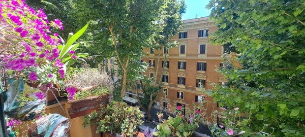 appartamento in affitto a Roma in zona Trieste