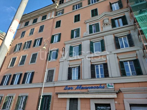 appartamento in affitto a Roma in zona Flaminio