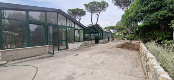 locale commerciale in affitto a Roma in zona Appio Claudio