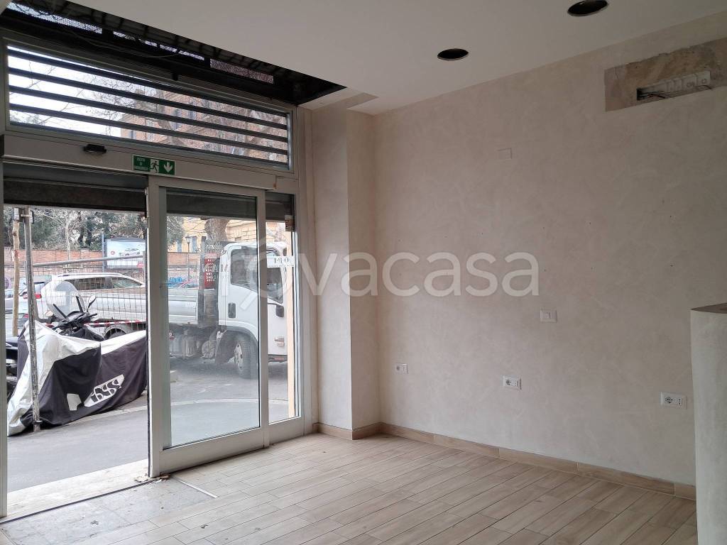 quadrivano in affitto a Roma in zona Salario