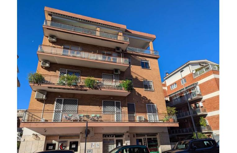 camera singola in affitto a Roma