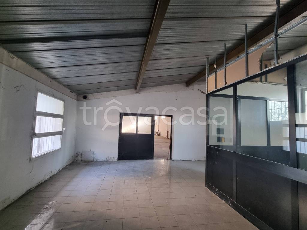 negozio in affitto a Roma in zona Appio Latino