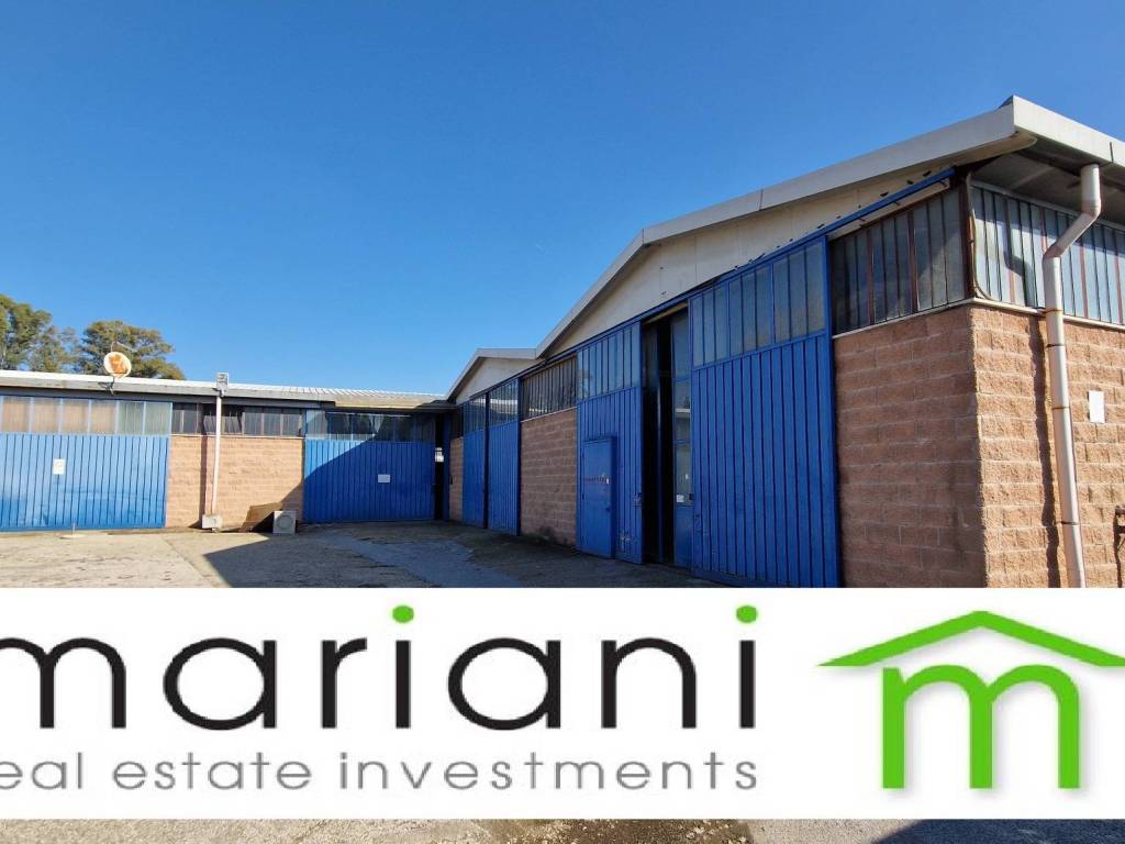 locale commerciale in affitto a Roma in zona Giuliano Dalmata