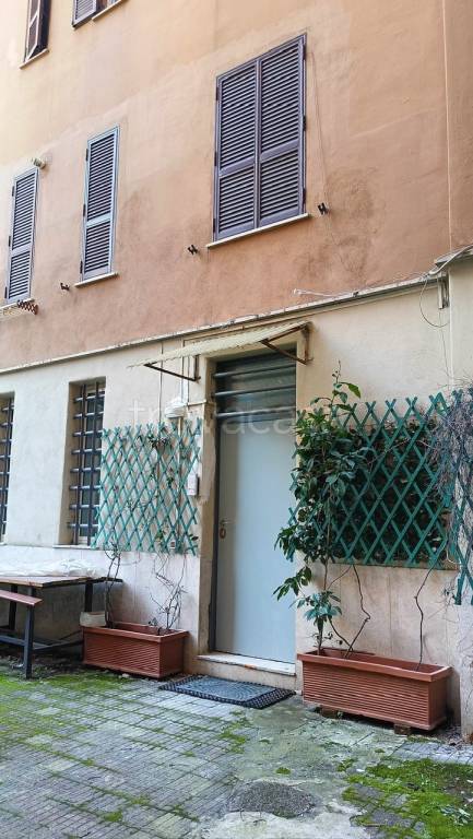 appartamento in affitto a Roma in zona Della Vittoria