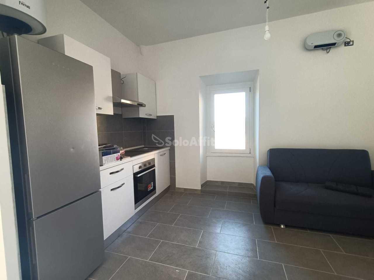 appartamento in affitto a Roma in zona Trionfale