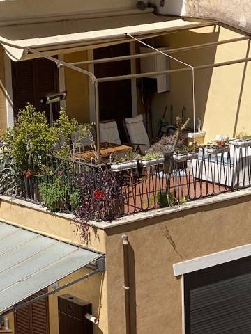 appartamento in affitto a Roma in zona Campo Marzio