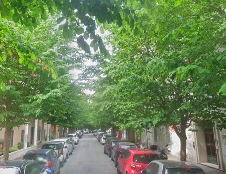 appartamento in affitto a Roma in zona Trieste