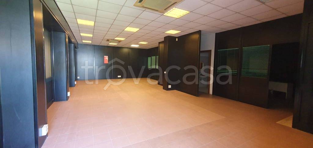 negozio in affitto a Roma in zona Trigoria