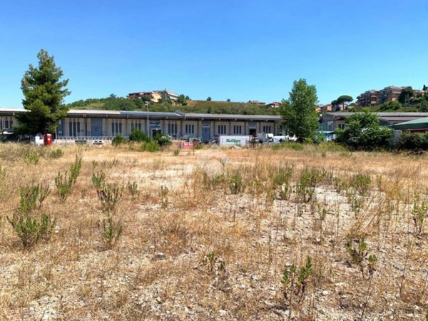 terreno agricolo in affitto a Roma in zona Magliana Vecchia