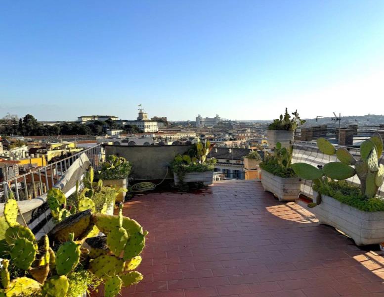 appartamento in affitto a Roma in zona Campo Marzio