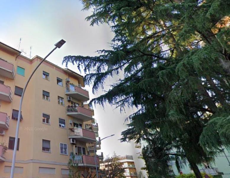 appartamento in affitto a Roma in zona Salario
