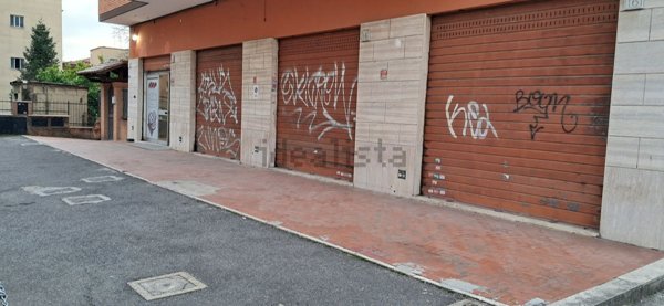 negozio in affitto a Roma in zona Tor Vergata/Torrenova