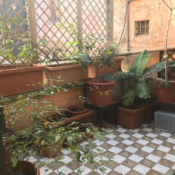 appartamento in affitto a Roma in zona Campo Marzio