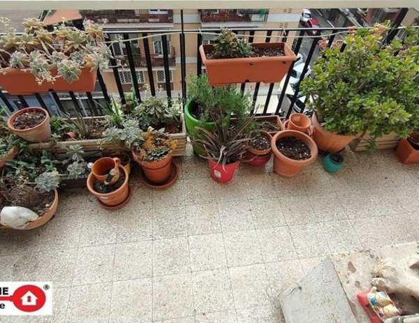 appartamento in affitto a Roma in zona Appio Latino