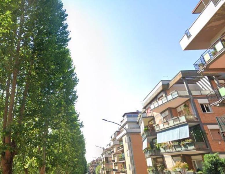 appartamento in affitto a Roma in zona Monte Sacro/Talenti