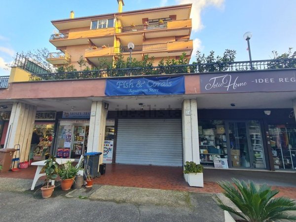 negozio in affitto a Roma in zona Infernetto