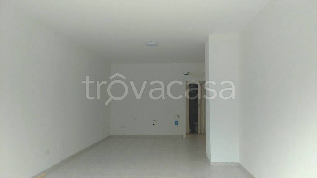 appartamento in affitto a Roma in zona Monte Sacro/Talenti